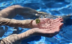 我的野蛮王妃中文版全集